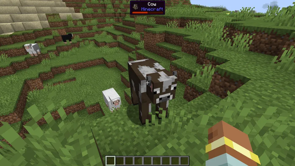 WTFIT — Minecraft mod, rasm 8