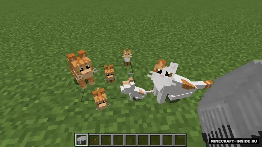 Simply Cats — Minecraft mod, rasm 3