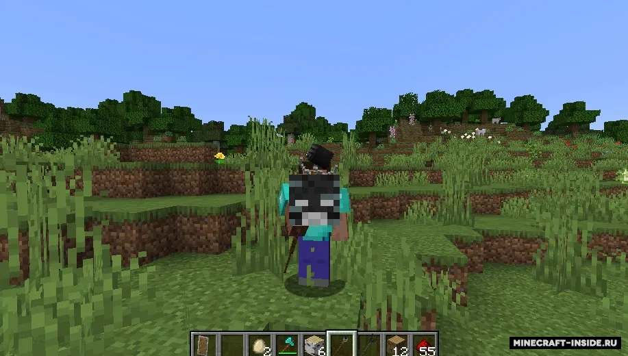 Wizard Staff — Minecraft mod, rasm 5