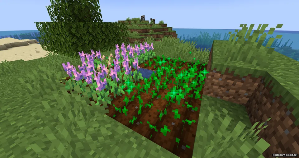 Cookie Chunk — Minecraft mod, rasm 2