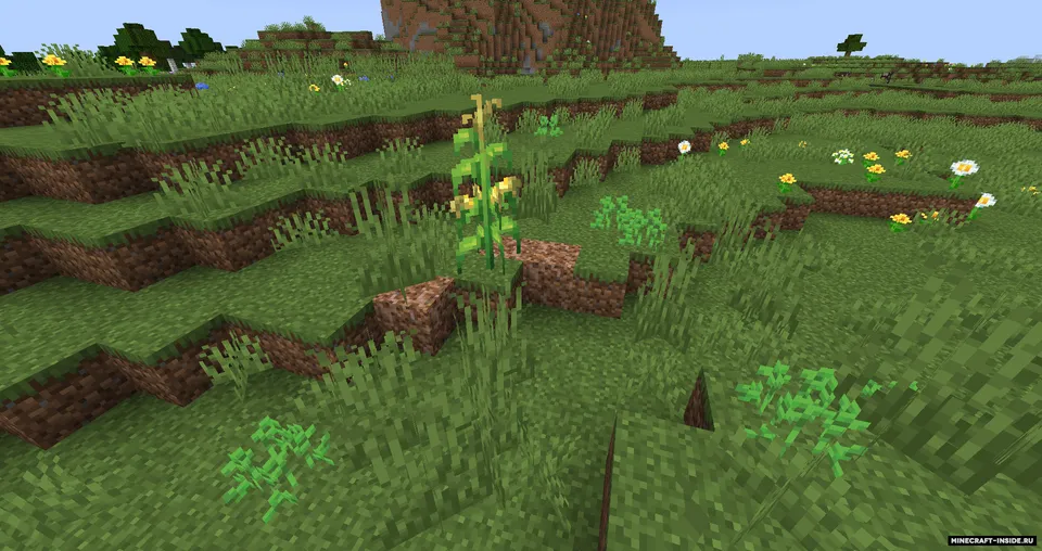 Cookie Chunk — Minecraft mod, rasm 3