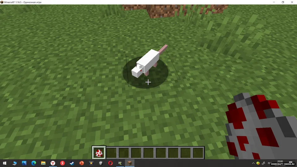 BIOcraft — Minecraft mod, rasm 6
