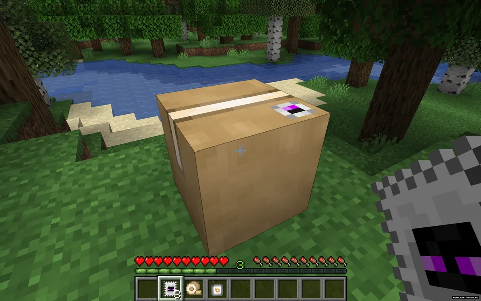 Ender Mail — Minecraft mod, rasm 5