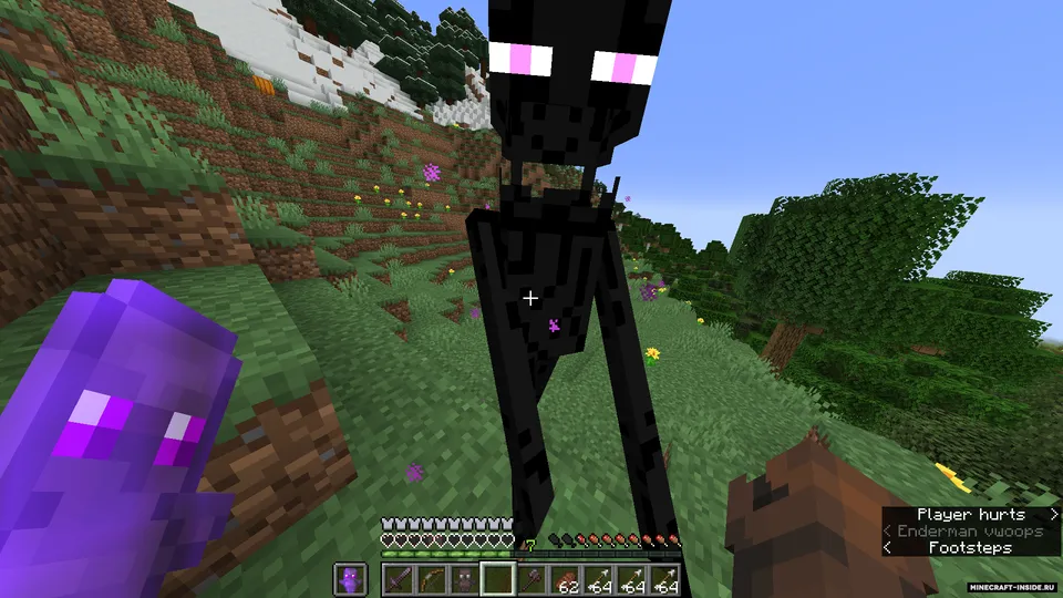 Death Totem — Minecraft mod, rasm 2
