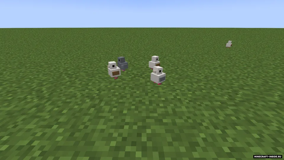 Pleasant Pigeons — Minecraft mod, rasm 3