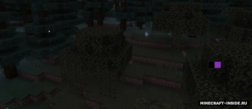 Wild Firefly — Minecraft mod, rasm 3
