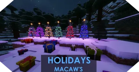 Macaw's Holidays