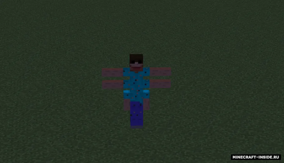 That thing — Minecraft mod, rasm 2