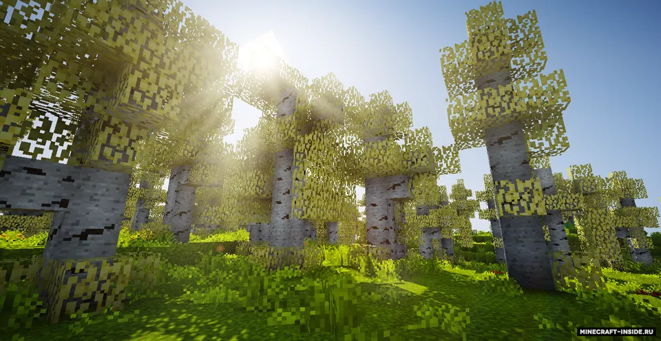 Oh The Biomes You'll Go — Minecraft mod, rasm 6