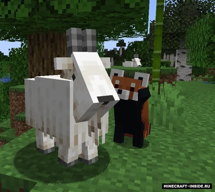 YDM's Red Panda — Minecraft mod, rasm 2