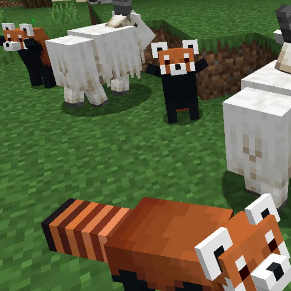 YDM's Red Panda — Minecraft mod, rasm 3