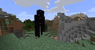 Enderling Invaders — Minecraft mod, rasm 2