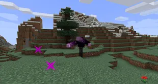 Enderling Invaders — Minecraft mod, rasm 3
