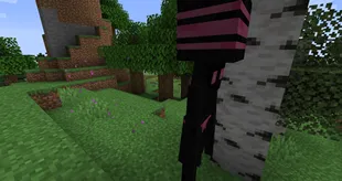 Enderling Invaders — Minecraft mod, rasm 5