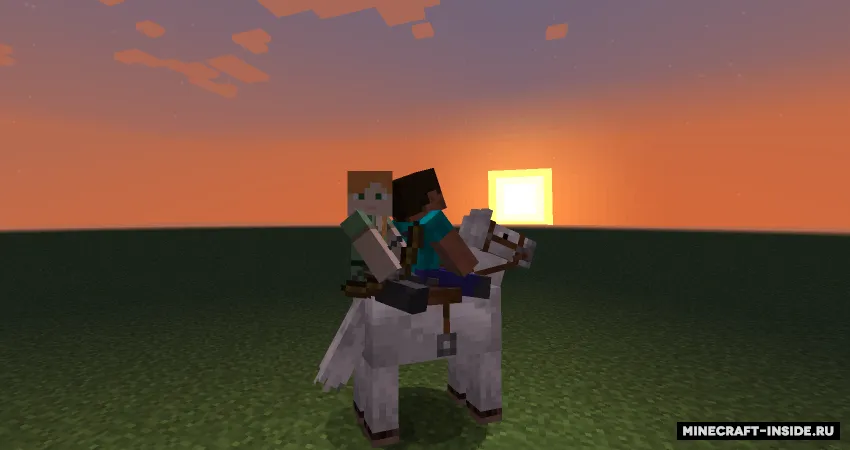 Dual Riders — Minecraft mod, rasm 2