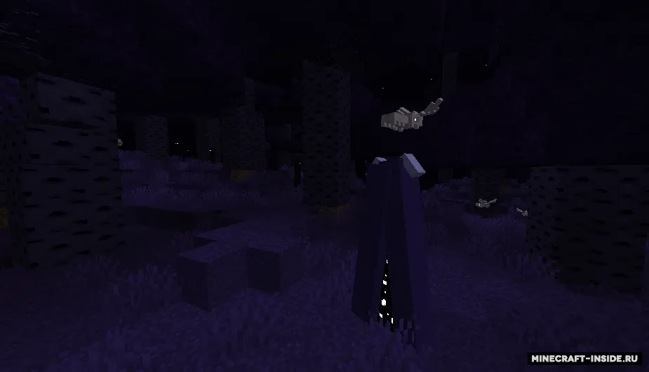True adventure never ends (TANE) — Minecraft mod, rasm 6