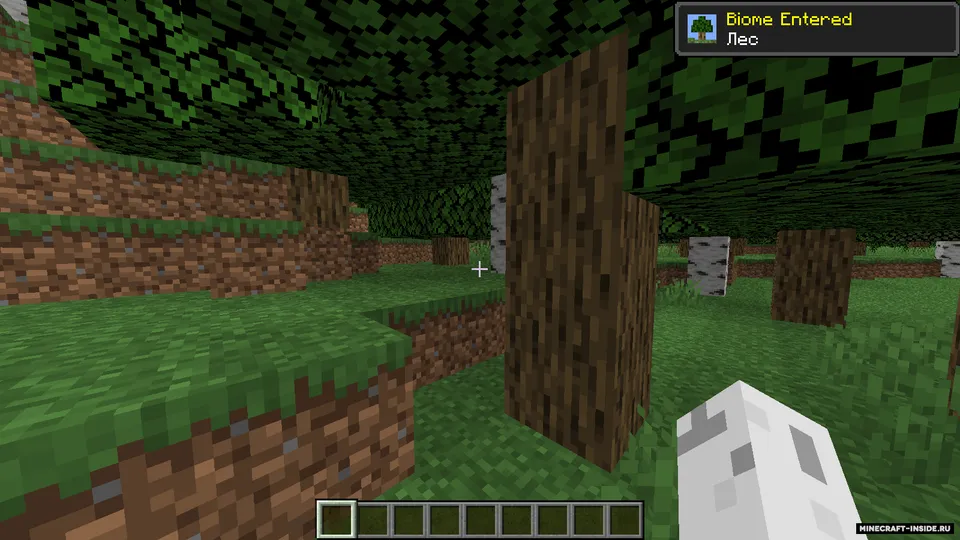Biome Toasts — Minecraft mod, rasm 6