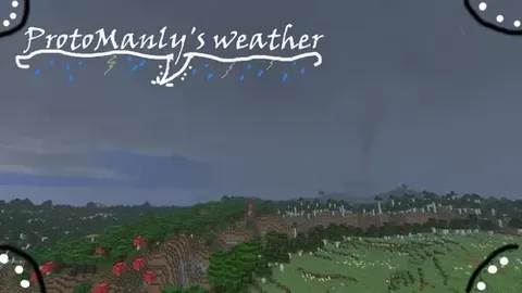 ProtoManly's weather