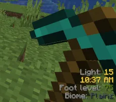 Simple Text Overlay — Minecraft mod, rasm 3