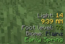 Simple Text Overlay — Minecraft mod, rasm 4