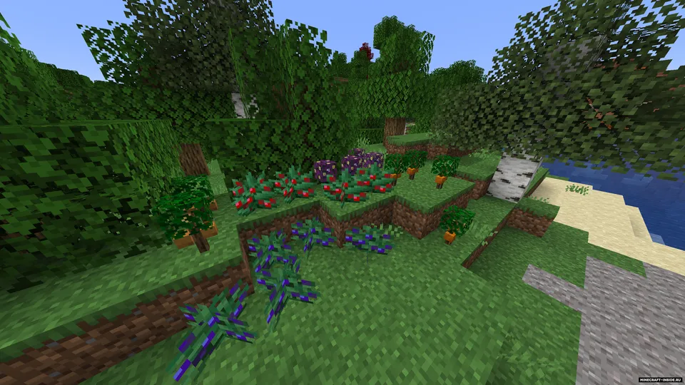 Foxxz Addons — Minecraft mod, rasm 2