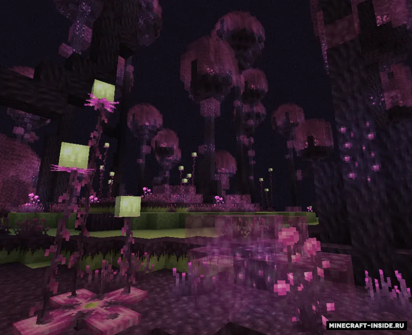 The Endergetic Expansion — Minecraft mod, rasm 2