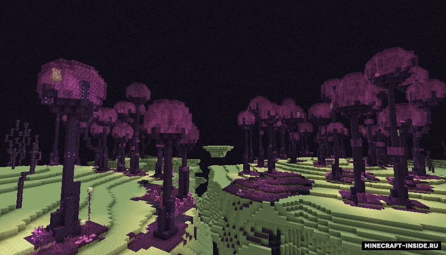 The Endergetic Expansion — Minecraft mod, rasm 3