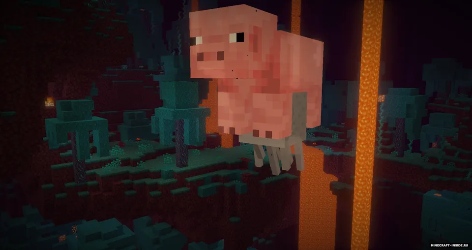 Fedora — Minecraft mod, rasm 2
