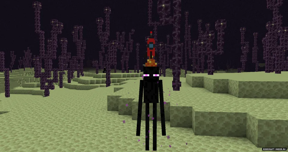 Fedora — Minecraft mod, rasm 3