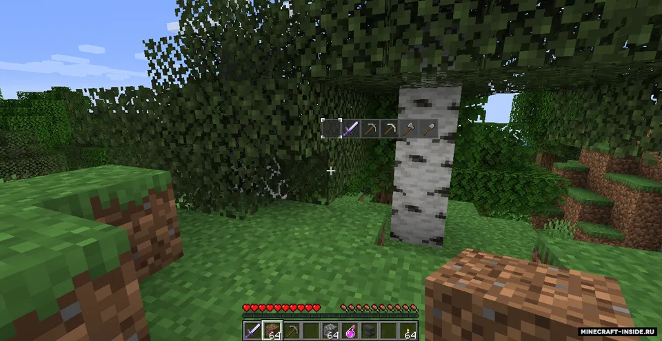 Wild Tool Access — Minecraft mod, rasm 2
