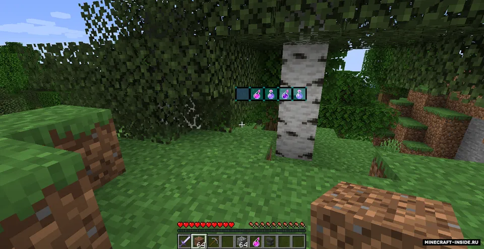 Wild Tool Access — Minecraft mod, rasm 7