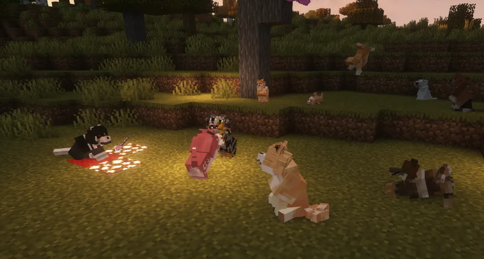 Doggy Talents Next — Minecraft mod, rasm 2