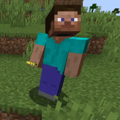 YDM's Custom Camera View — Minecraft mod, rasm 1