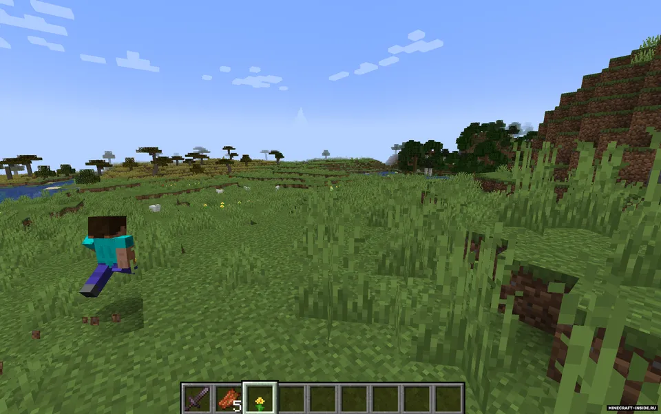 YDM's Custom Camera View — Minecraft mod, rasm 2