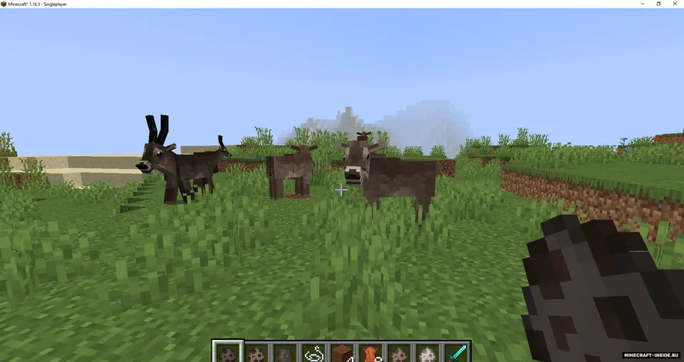 AfriCraft — Minecraft mod, rasm 2