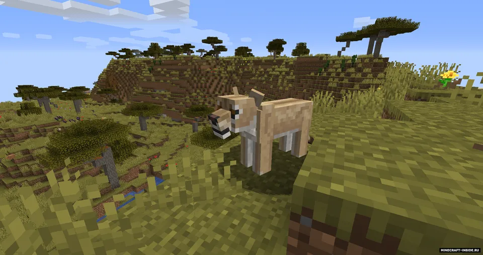 AfriCraft — Minecraft mod, rasm 4