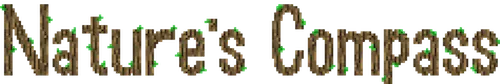Nature's Compass — Minecraft mod, rasm 1
