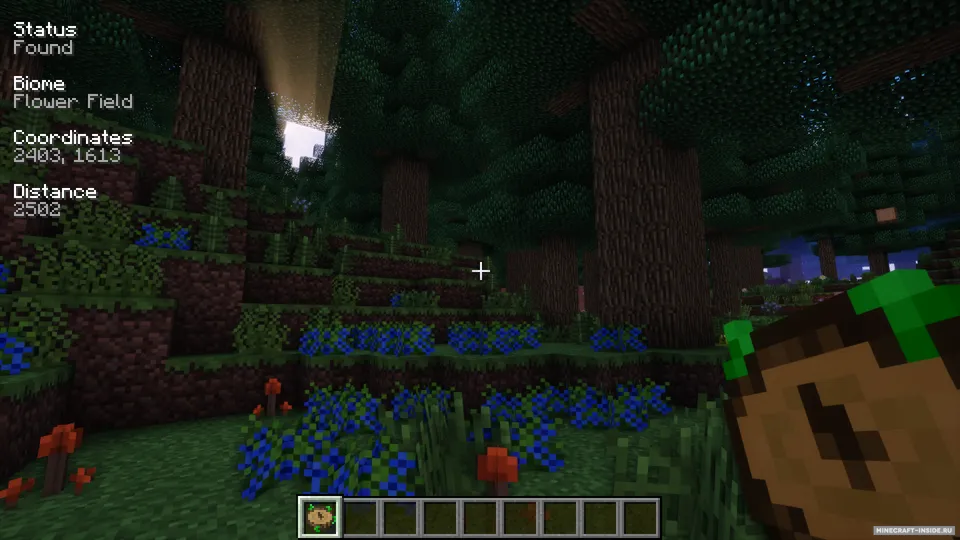 Nature's Compass — Minecraft mod, rasm 2