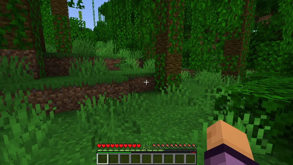 Peak Stamina — Minecraft mod, rasm 2