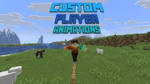 Custom Player Animations