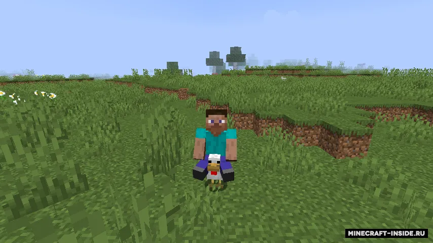 Easy Rider — Minecraft mod, rasm 2