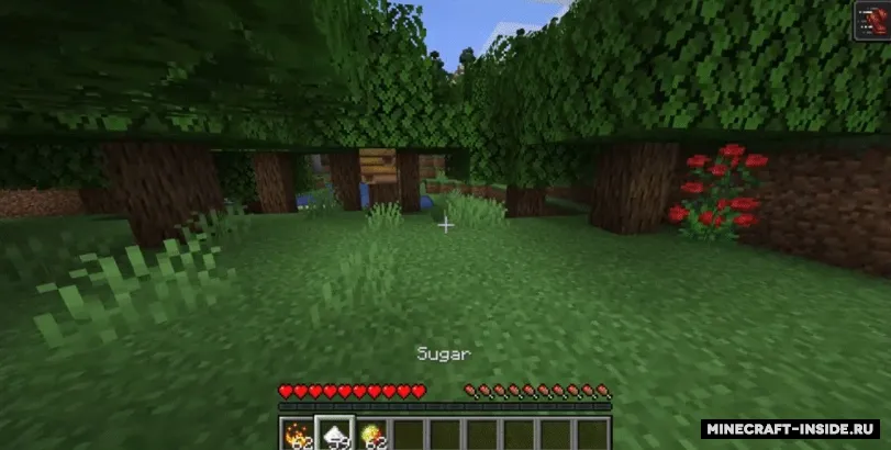 Edibles — Minecraft mod, rasm 4