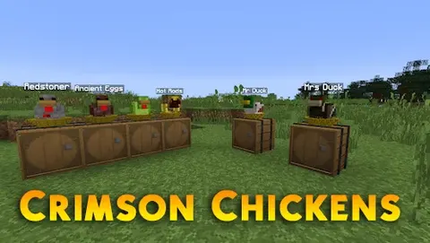 Crimson Chickens
