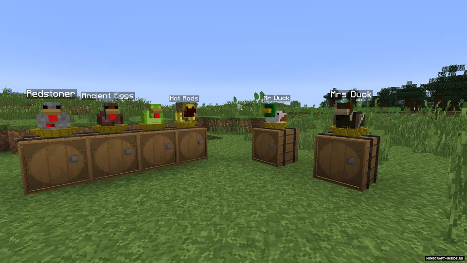 Crimson Chickens — Minecraft mod, rasm 4