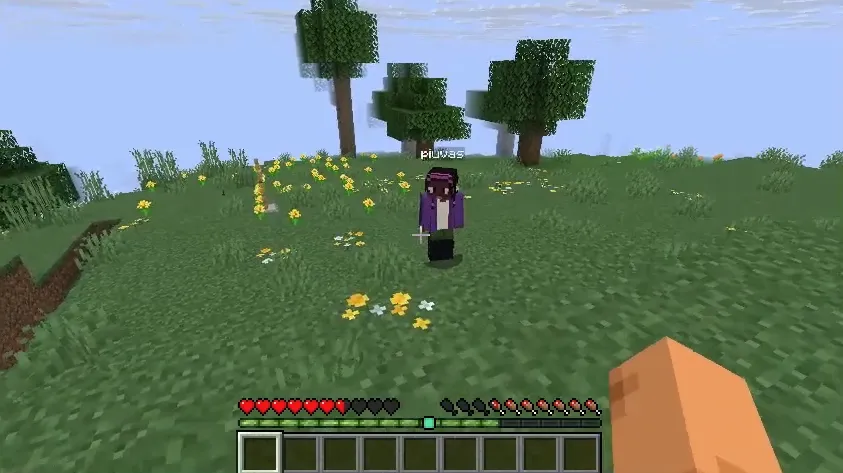 DualBar — Minecraft mod, rasm 2