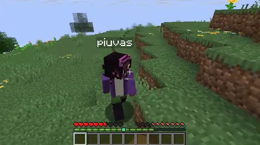 DualBar — Minecraft mod, rasm 3