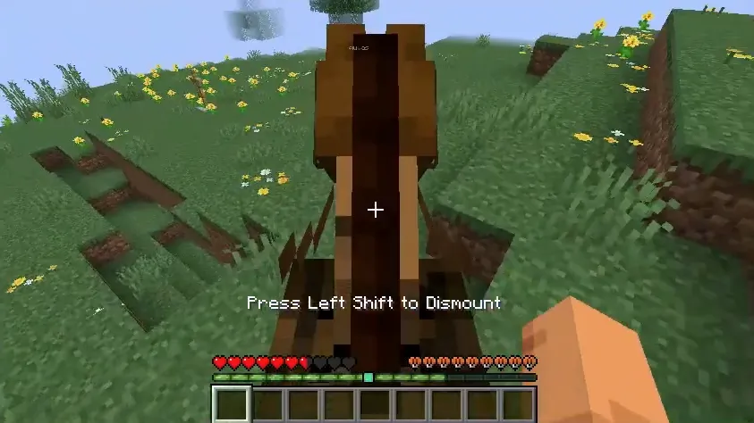 DualBar — Minecraft mod, rasm 4