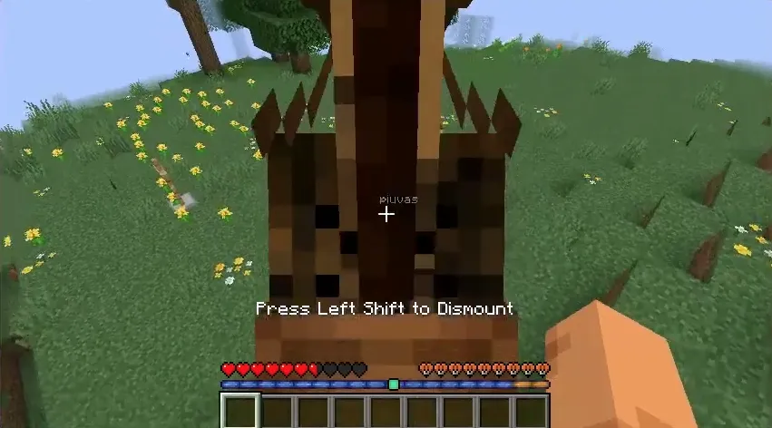 DualBar — Minecraft mod, rasm 5
