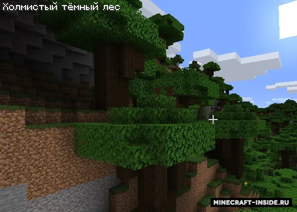 BiomeInfo — Minecraft mod, rasm 2