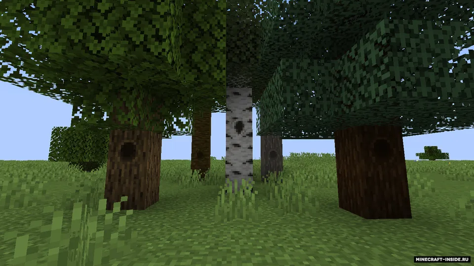 Tree Hollows — Minecraft mod, rasm 2